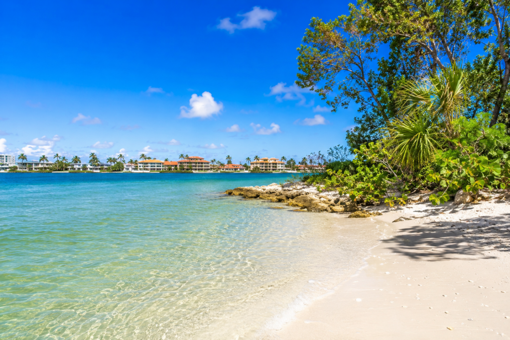 Vivid Shores — Bonita Springs, FL 34135